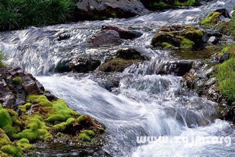 夢見溪流|周公解夢夢見溪水是什麼意思，夢到溪水好不好